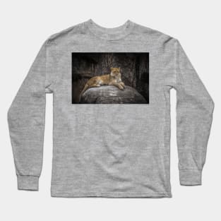 A Lioness Perch Long Sleeve T-Shirt